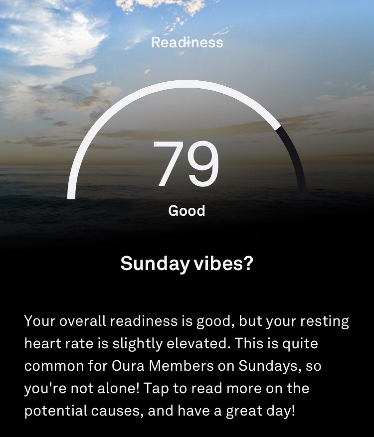 Sleep Tracker – 8/24/2024 (Sunday Vibes)